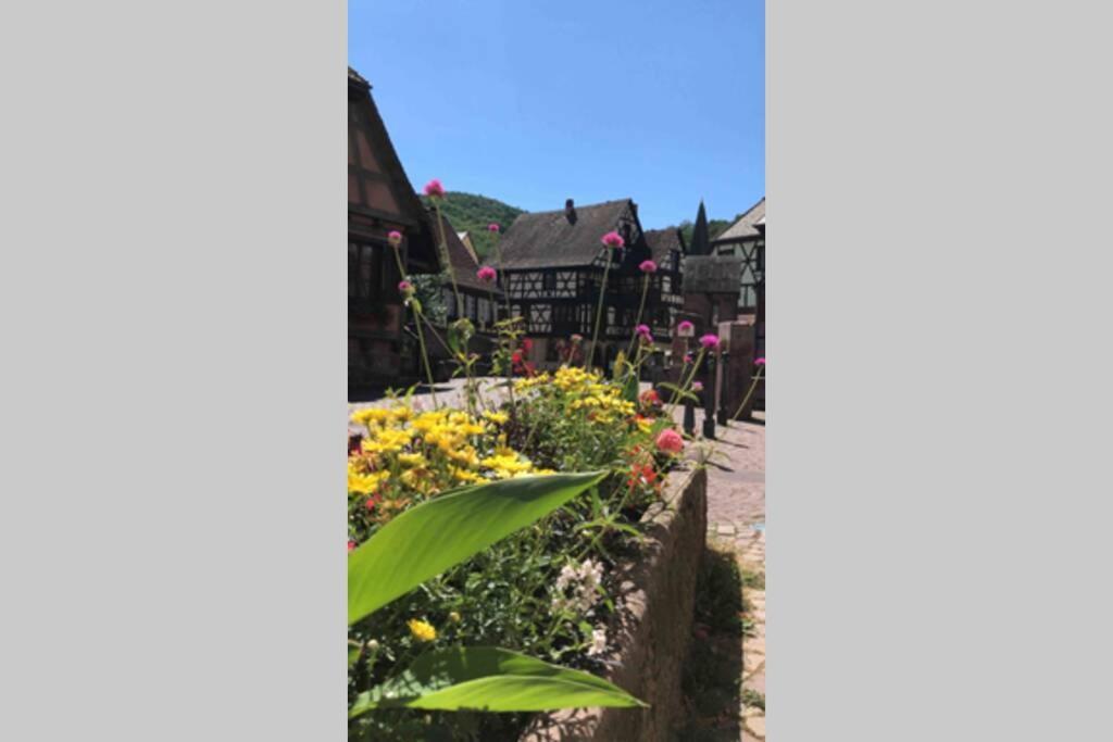 Coeur Alsace Apartment Colmar Exterior photo
