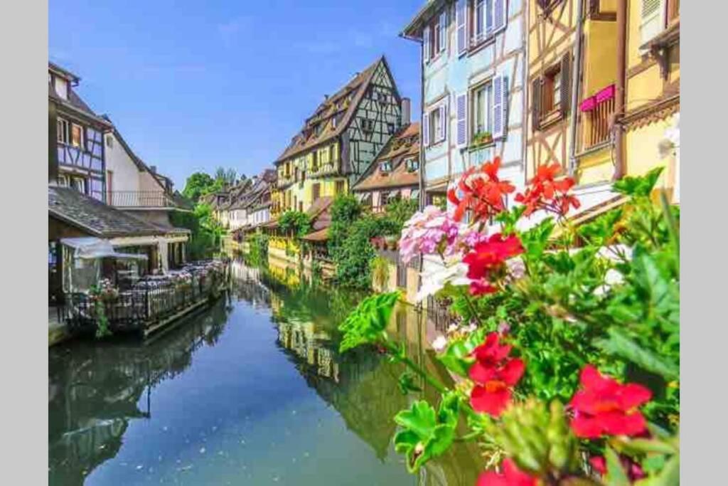 Coeur Alsace Apartment Colmar Exterior photo