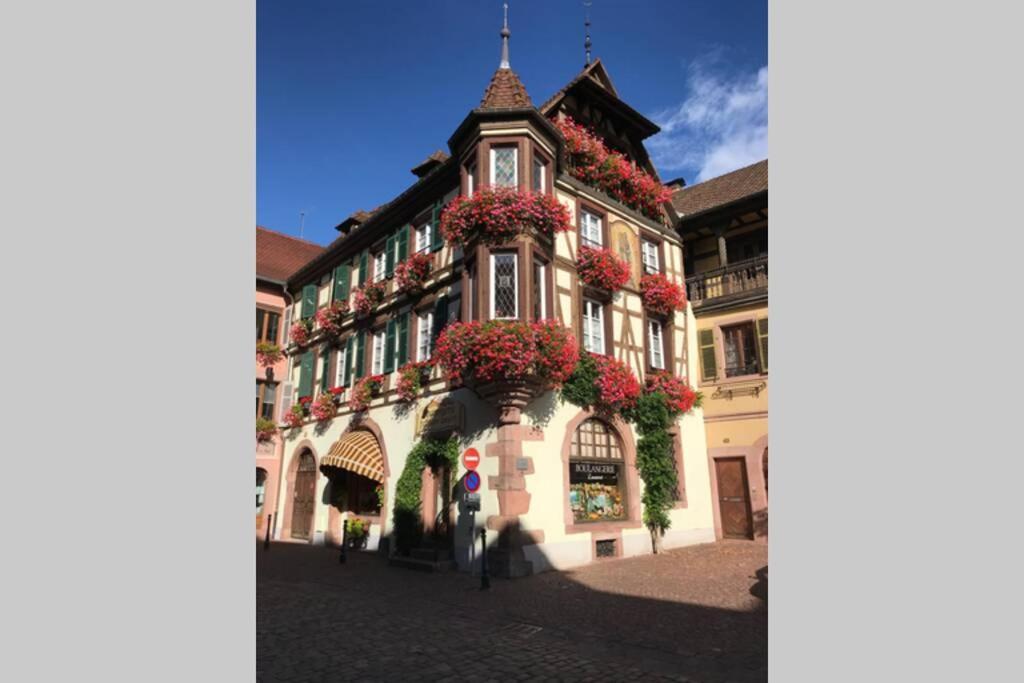 Coeur Alsace Apartment Colmar Exterior photo