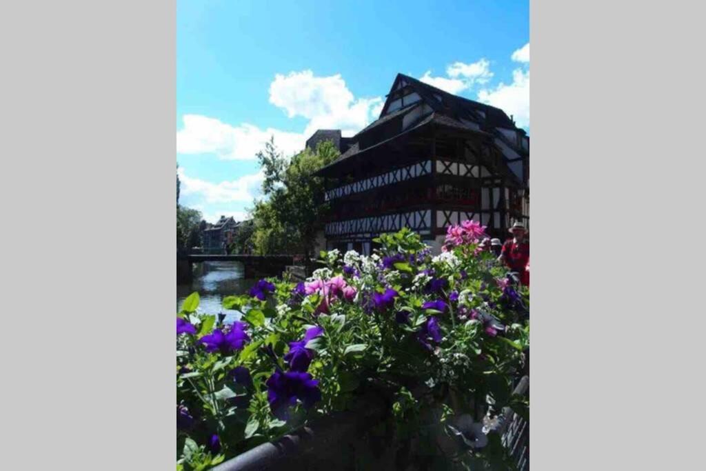 Coeur Alsace Apartment Colmar Exterior photo