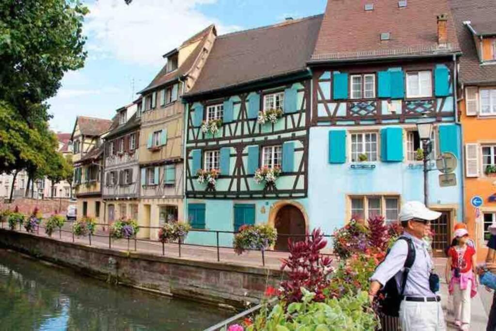 Coeur Alsace Apartment Colmar Exterior photo