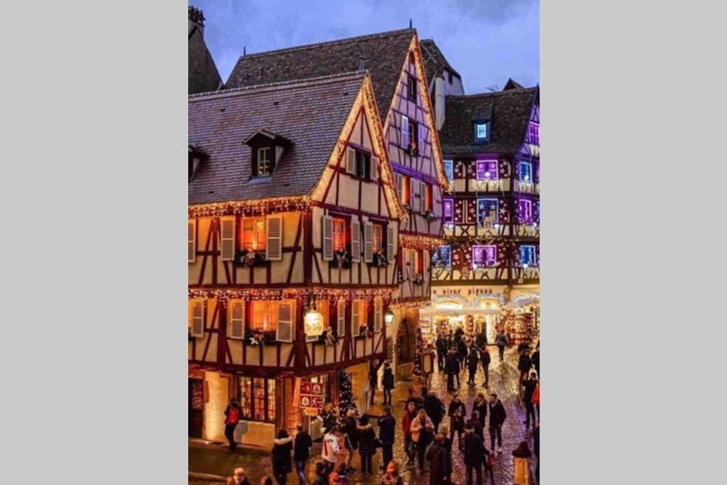 Coeur Alsace Apartment Colmar Exterior photo