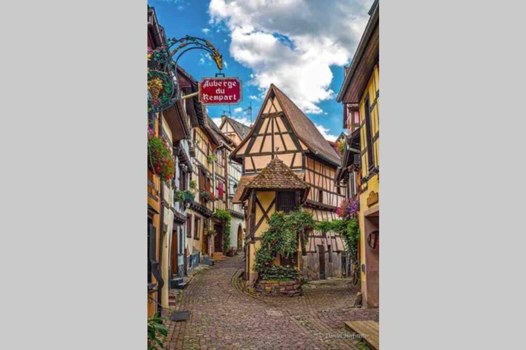 Coeur Alsace Apartment Colmar Exterior photo