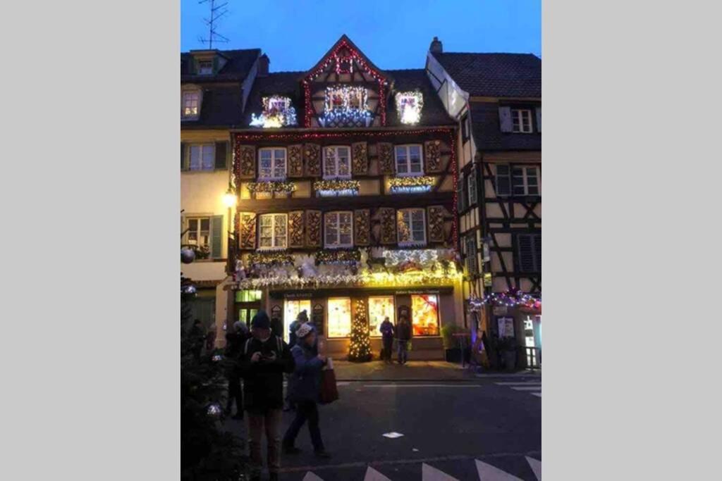 Coeur Alsace Apartment Colmar Exterior photo