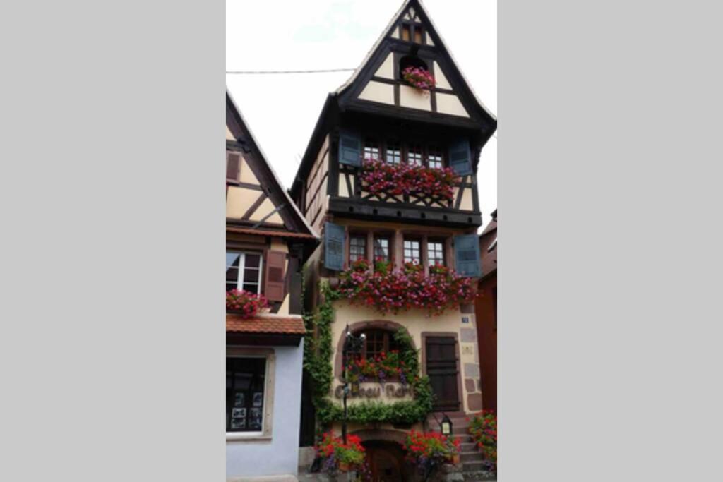 Coeur Alsace Apartment Colmar Exterior photo