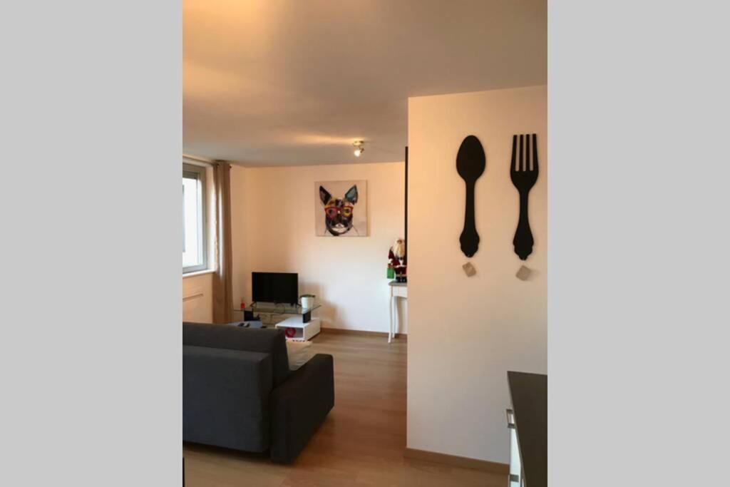Coeur Alsace Apartment Colmar Exterior photo