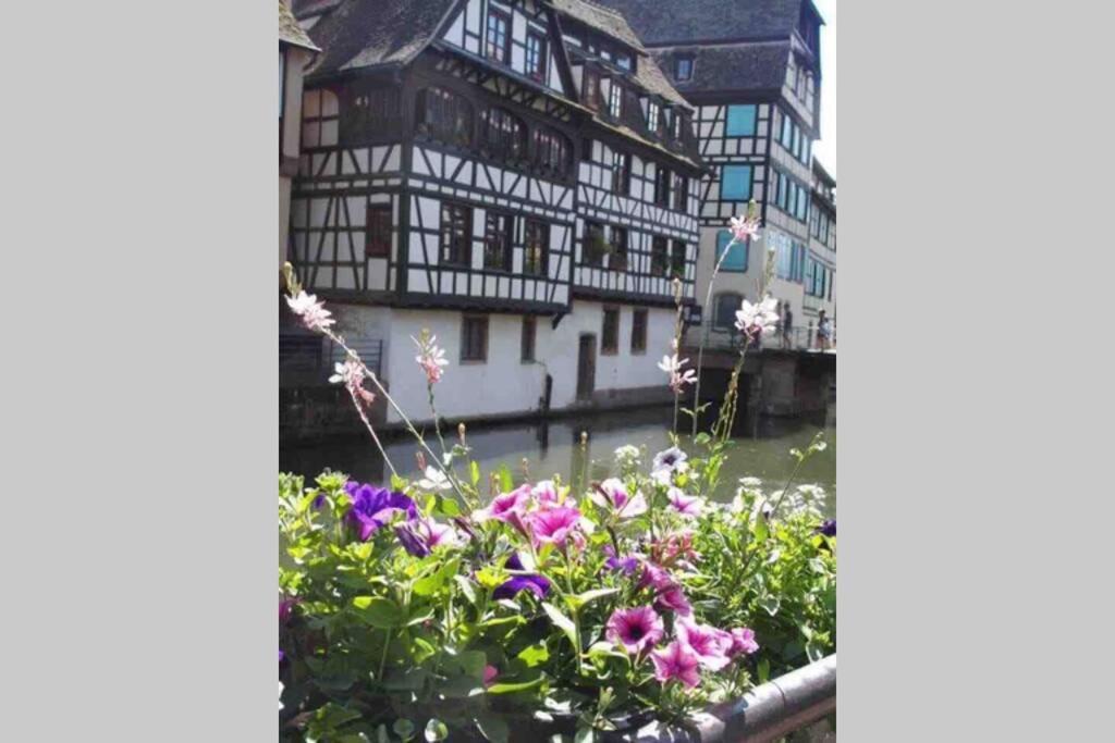 Coeur Alsace Apartment Colmar Exterior photo